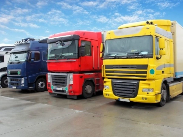 Antalya Fıstıkağacı Nakliye